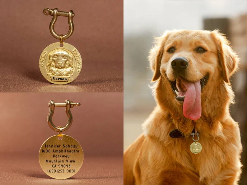 How to Laser Engrave Dog Tags at Home Algolaser